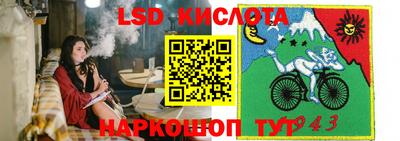 стафф Кандалакша