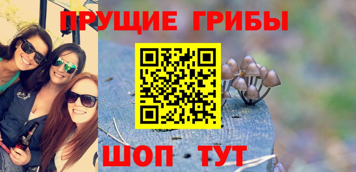 Псилоцибиновые грибы мухоморы  Псилоцибиновые грибы ЛСД  Вход с VPN  Жуковский 